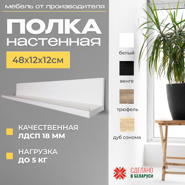 Полка навесная Анрат " Элана пн 2.48" с бортиком